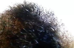 XXX स्लीपिंग ब्यूटी, बाथरूम और पड़ोसियों के पैरों में अकेले के लिए हॉलीवुड फुल सेक्स फिल्म