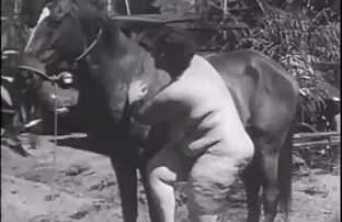 XXX लड़कियों को जितना संभव हो उतना मिल सेक्सी हिंदी सेक्सी मूवी और मजा